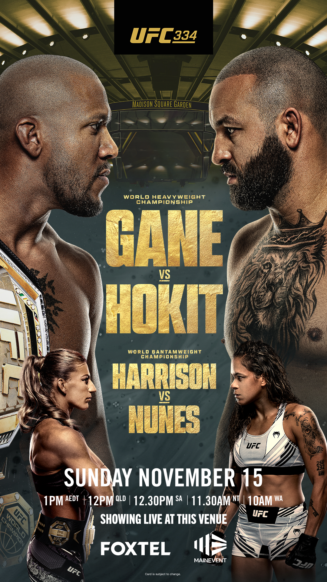 UFC 334 – GANE vs HOKIT